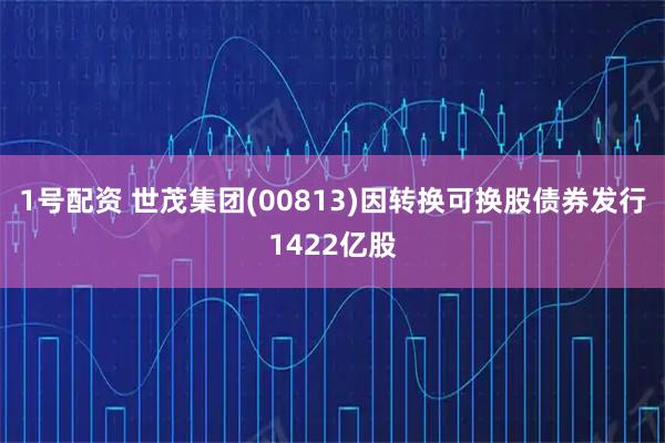 1号配资 世茂集团(00813)因转换可换股债券发行1422亿股