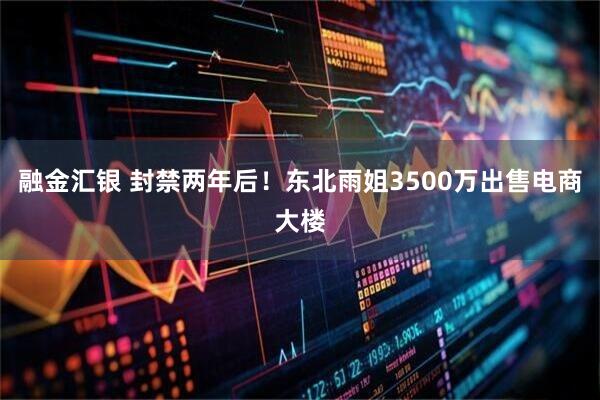 融金汇银 封禁两年后！东北雨姐3500万出售电商大楼